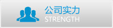 公司實(shí)力